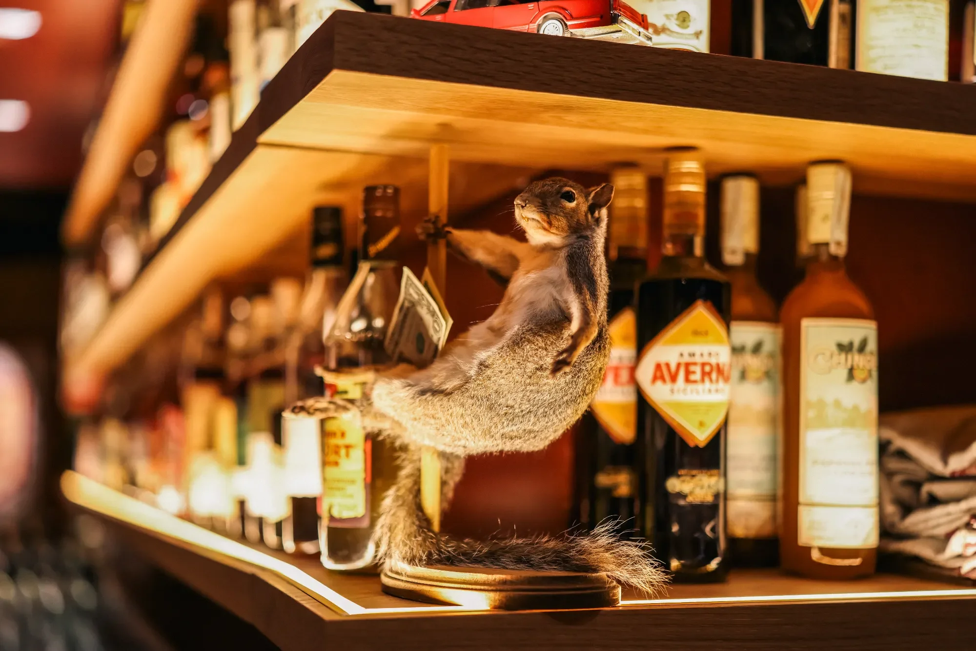 low-bar-lounge-raleigh-nightlife-bar-13.webp