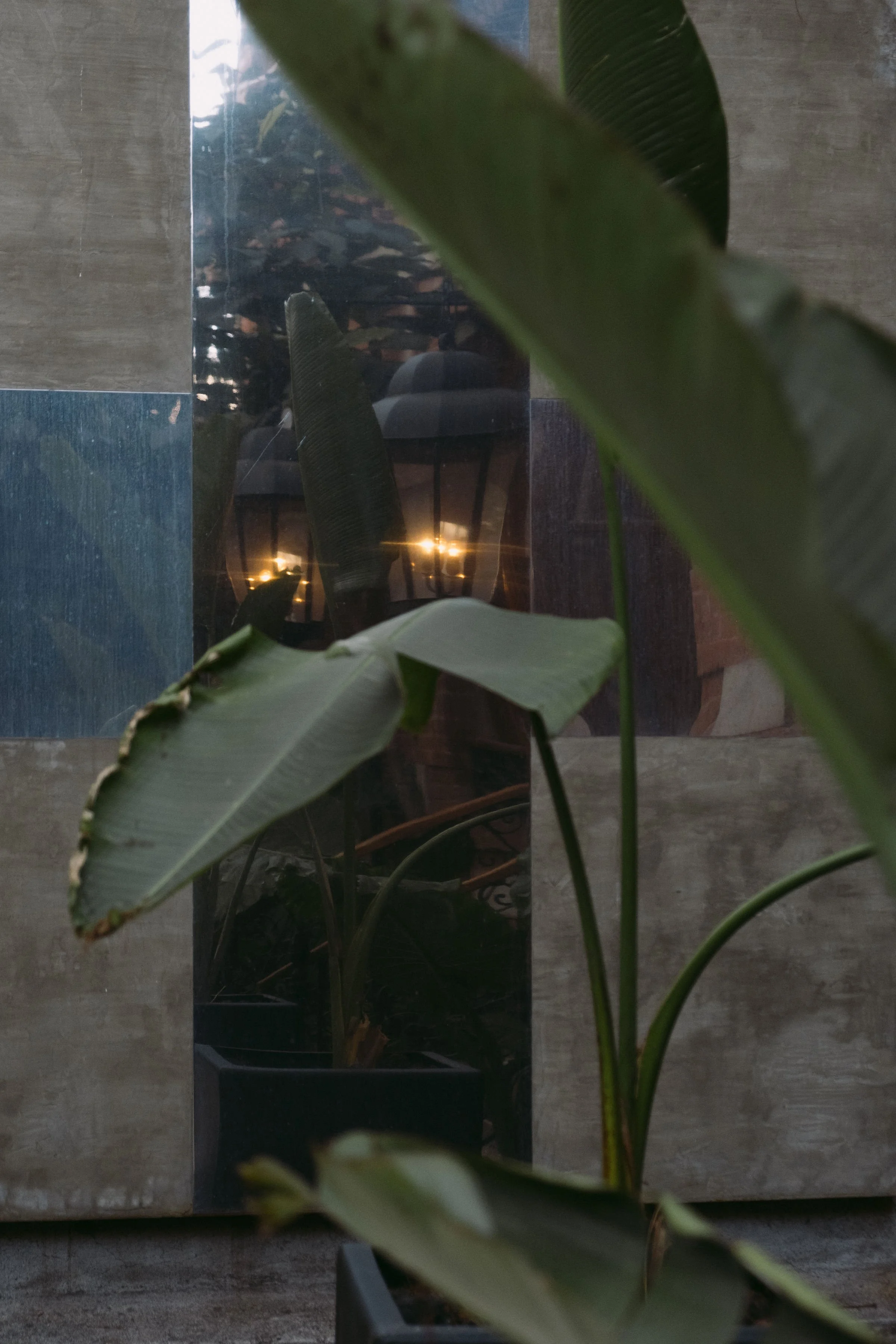 courtyard cross reflection plant .jpeg