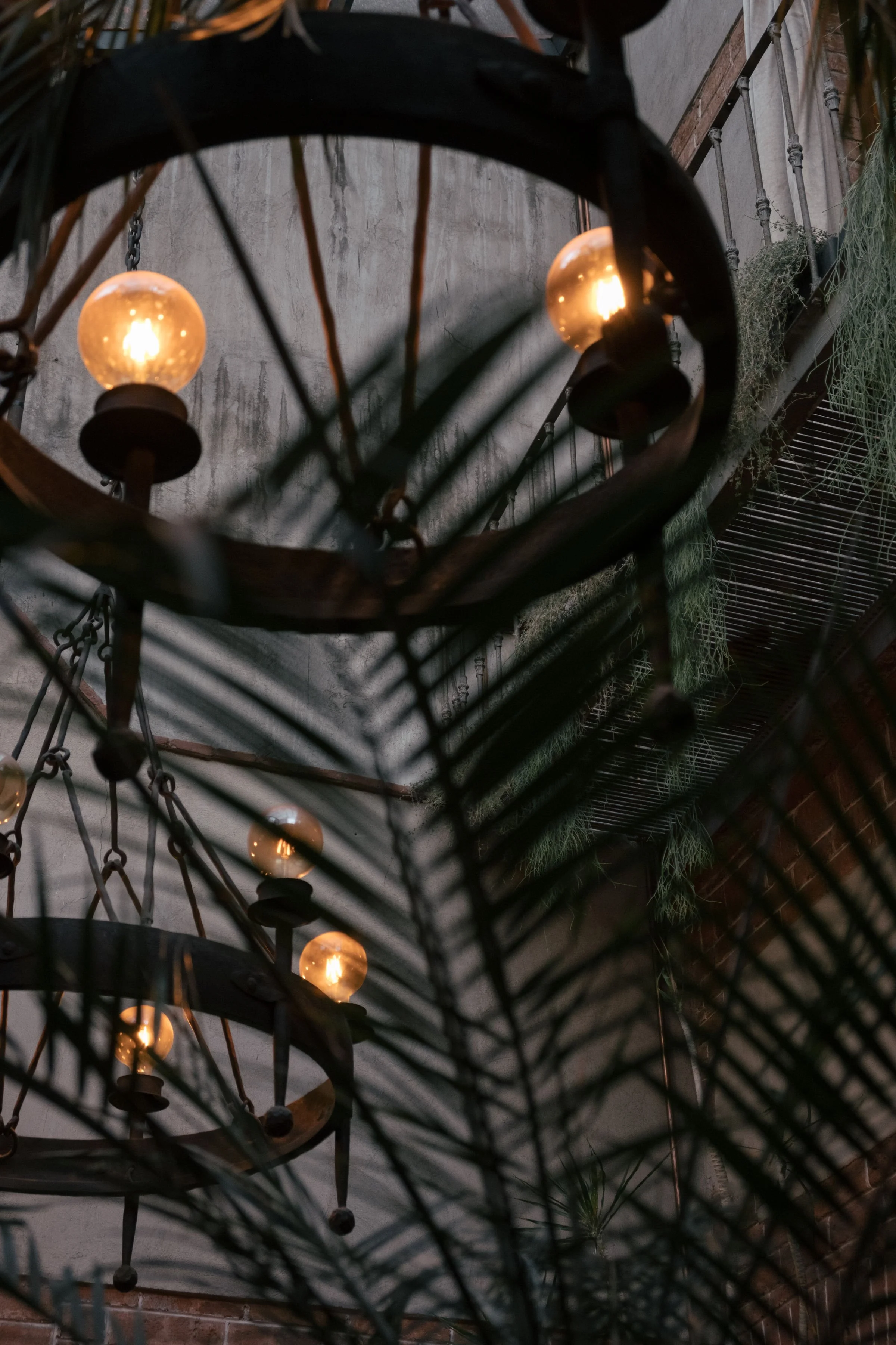 atrium plant chandelier .jpeg