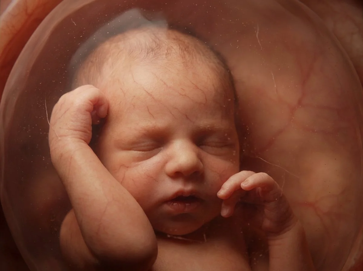 Close-up of a newborn baby sleeping inside an amniotic sac