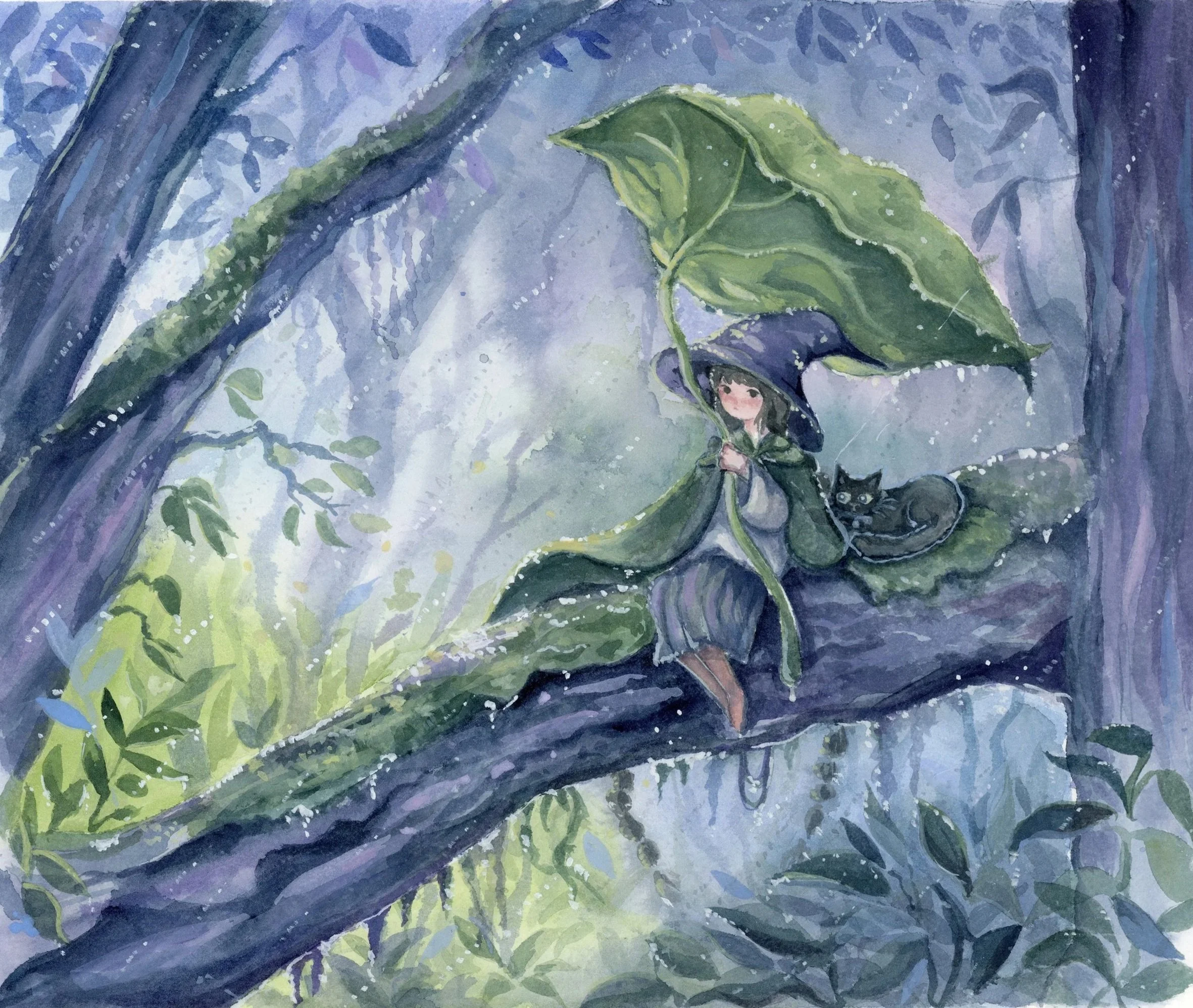 JJ+Ji_+Rainy+Forest.jpg