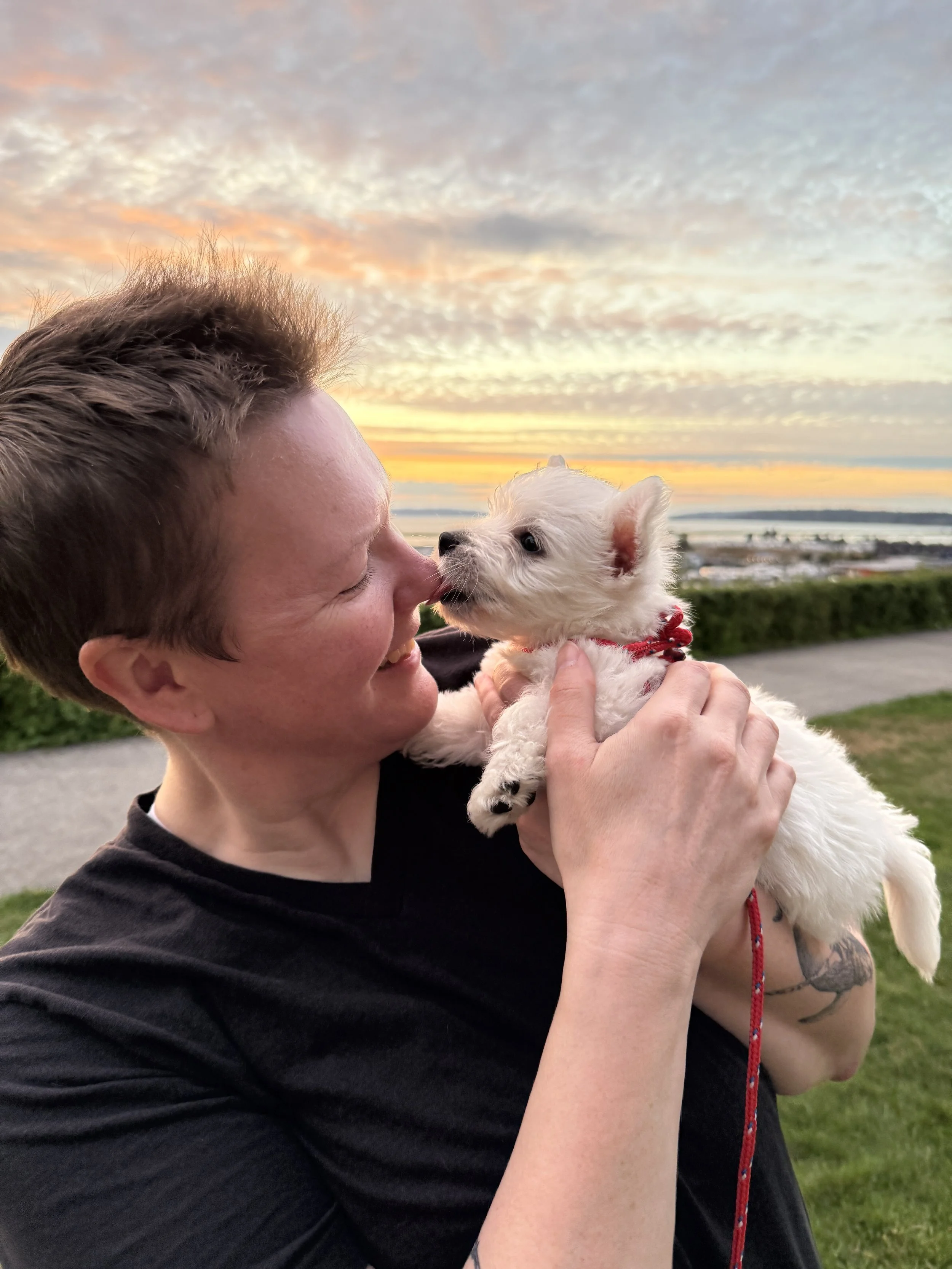 A person holding a small white puppy during sunset with a sky filled with colorful clouds and a distant view of water and land.