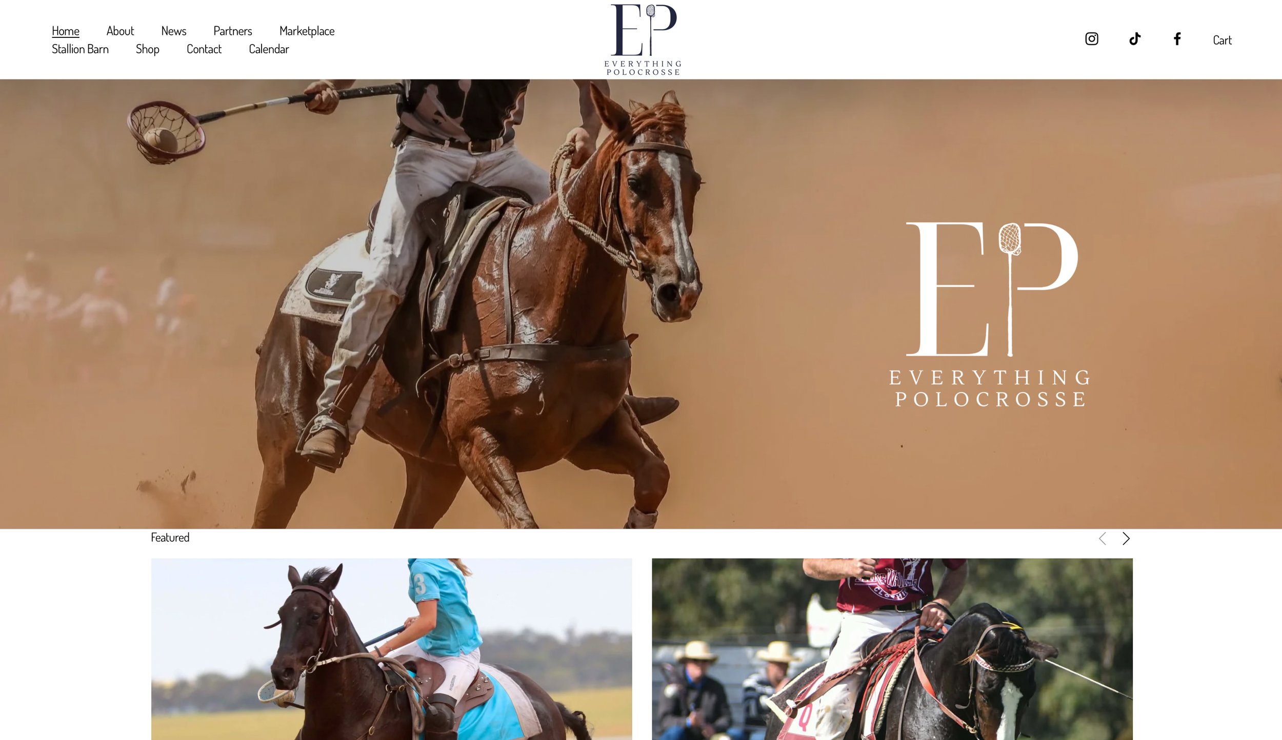A horse polo player in black attire riding a brown horse with a white stripe on its face. The background is a sandy or dusty outdoor area, and the image is used as the header of a website for a polo-related brand or organization named Everything Polorosse.