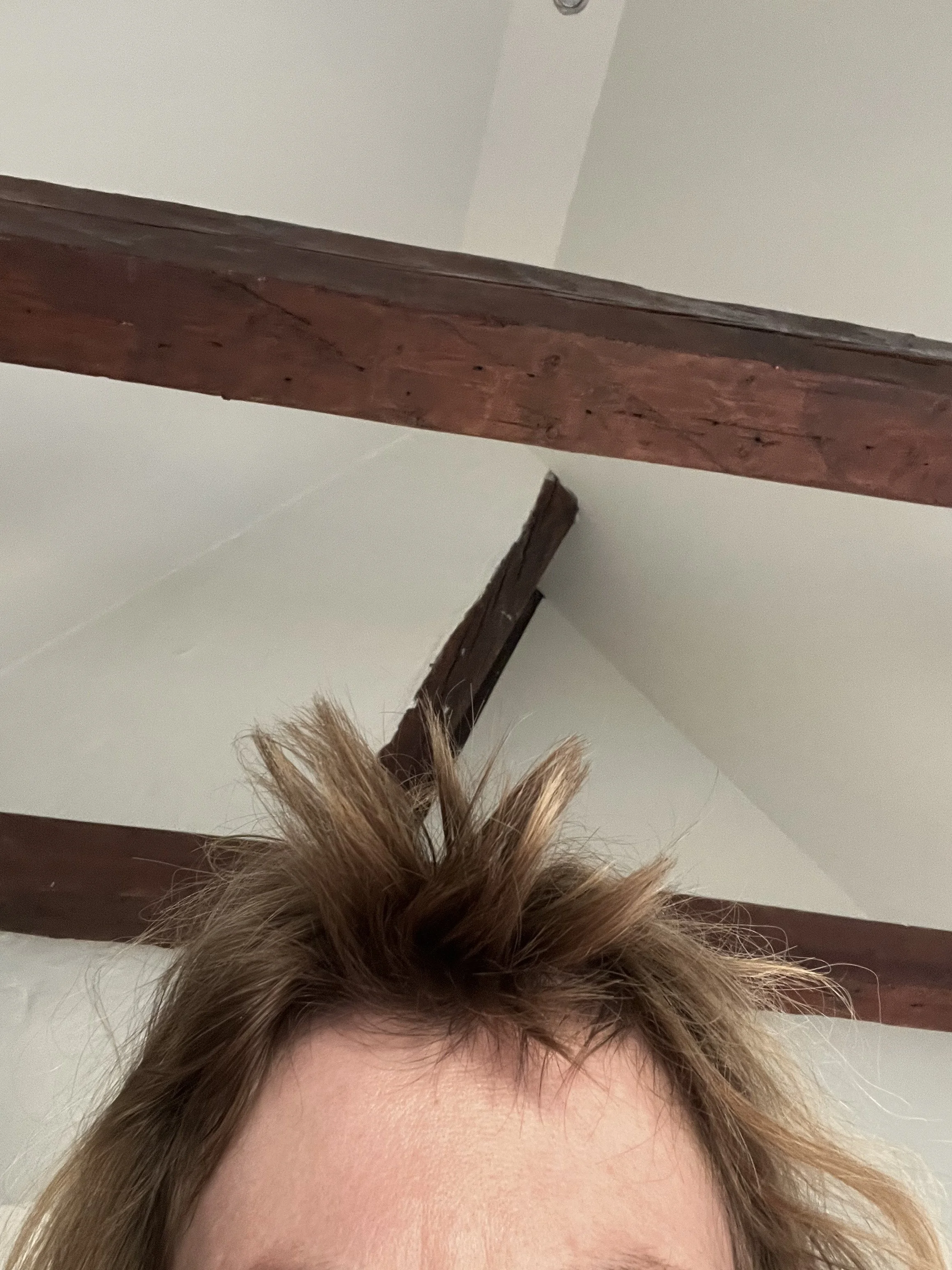 Morning bangs and morning musings