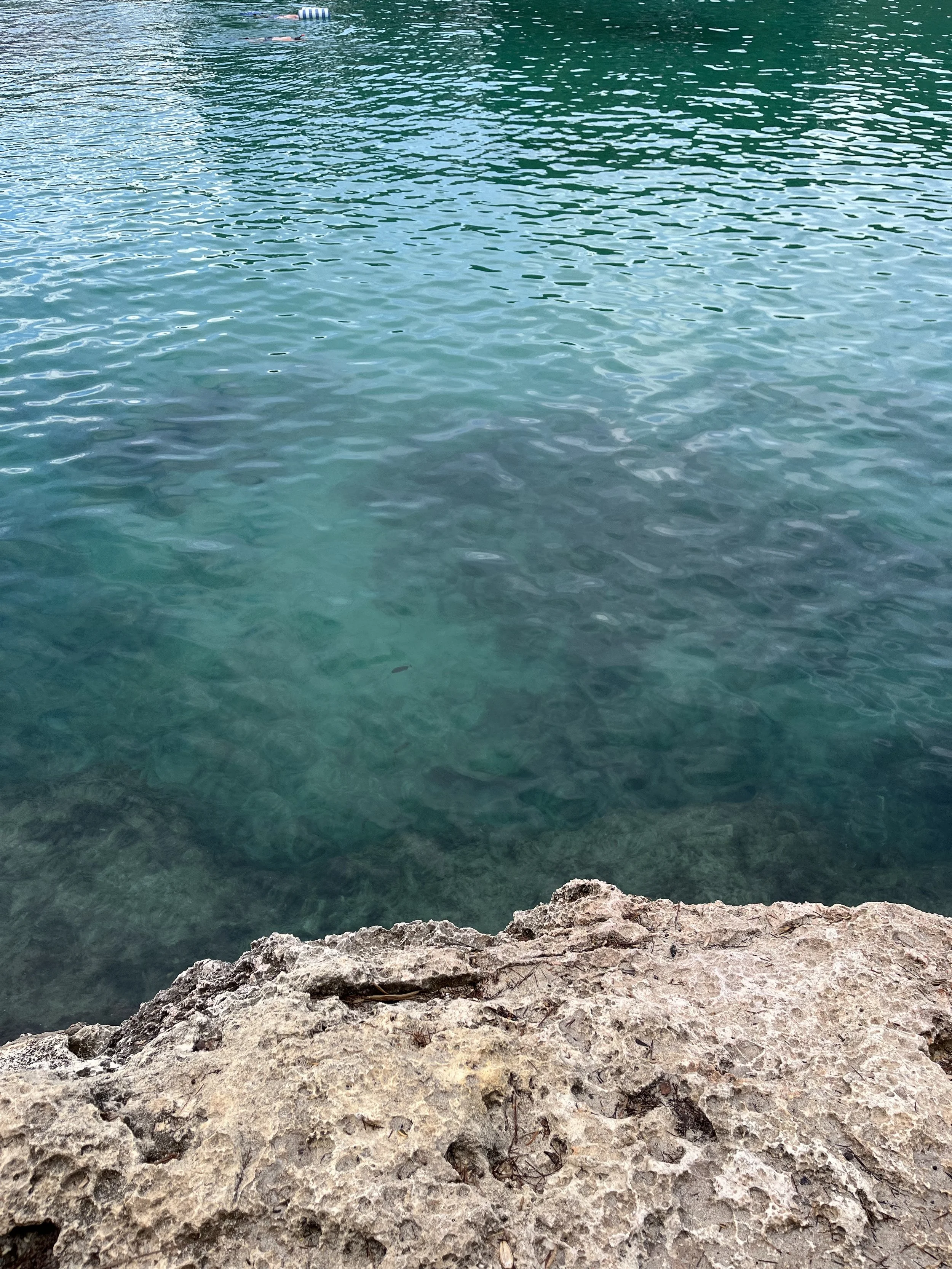 Clear turquoise water with swimmers in the distance and a rocky shoreline in the foreground