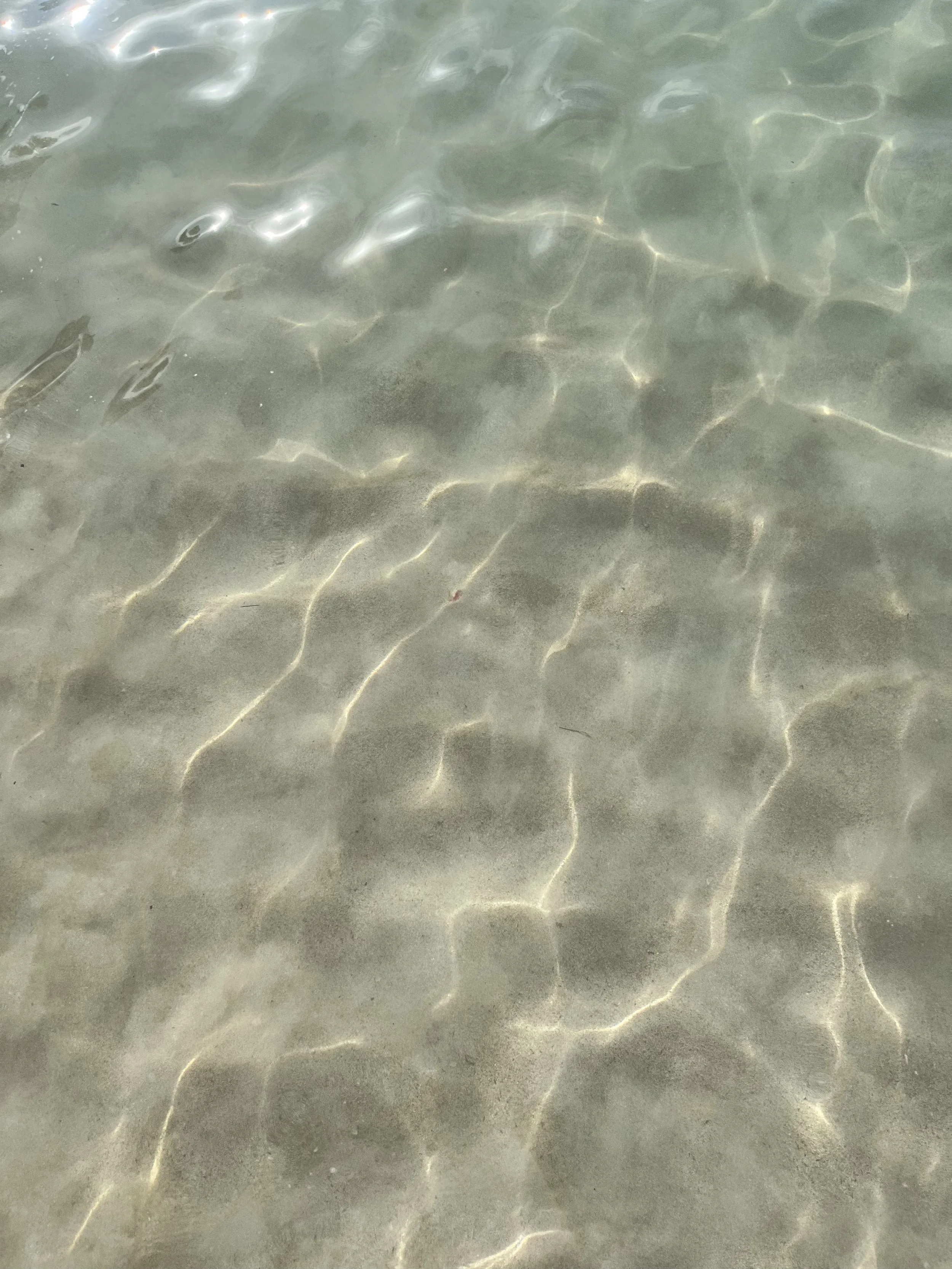 Sunlight rippling across shallow, clear water over a sandy bottom