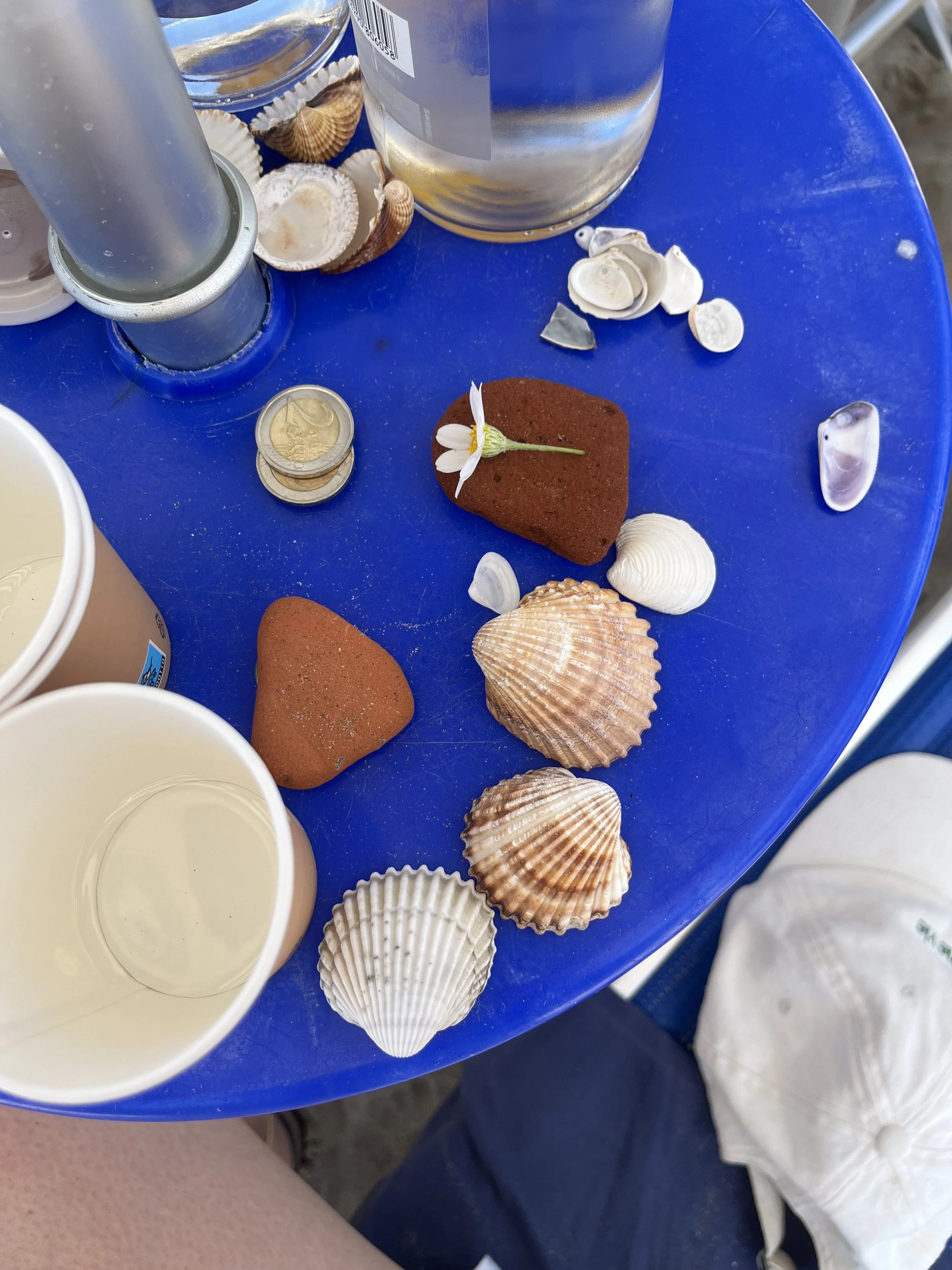 Sea shells and a small flower placed on a red stone on a blue table, with cups and water bottles nearby.