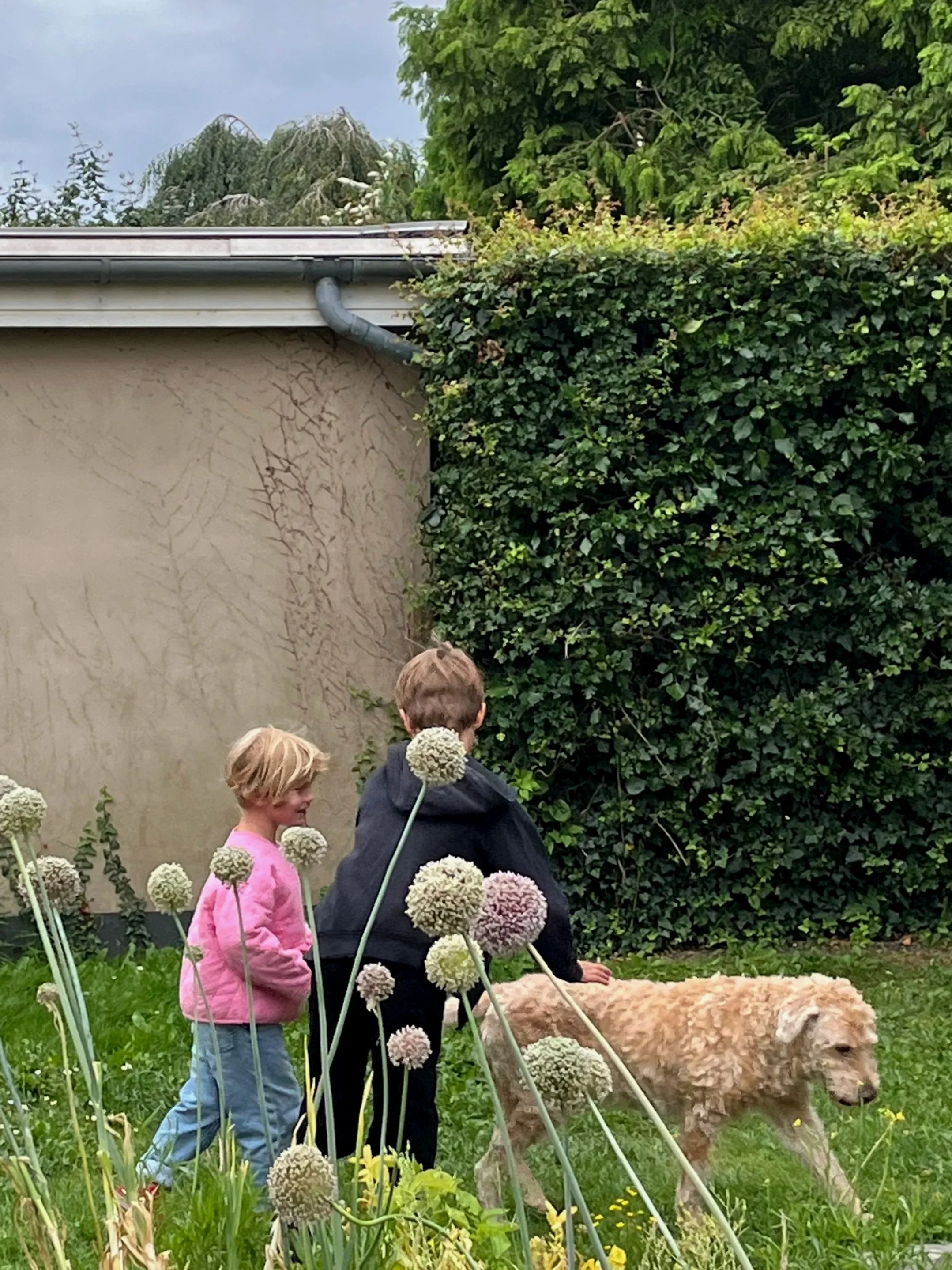 Children in a garden with a large dog, green bushes, and flowers.