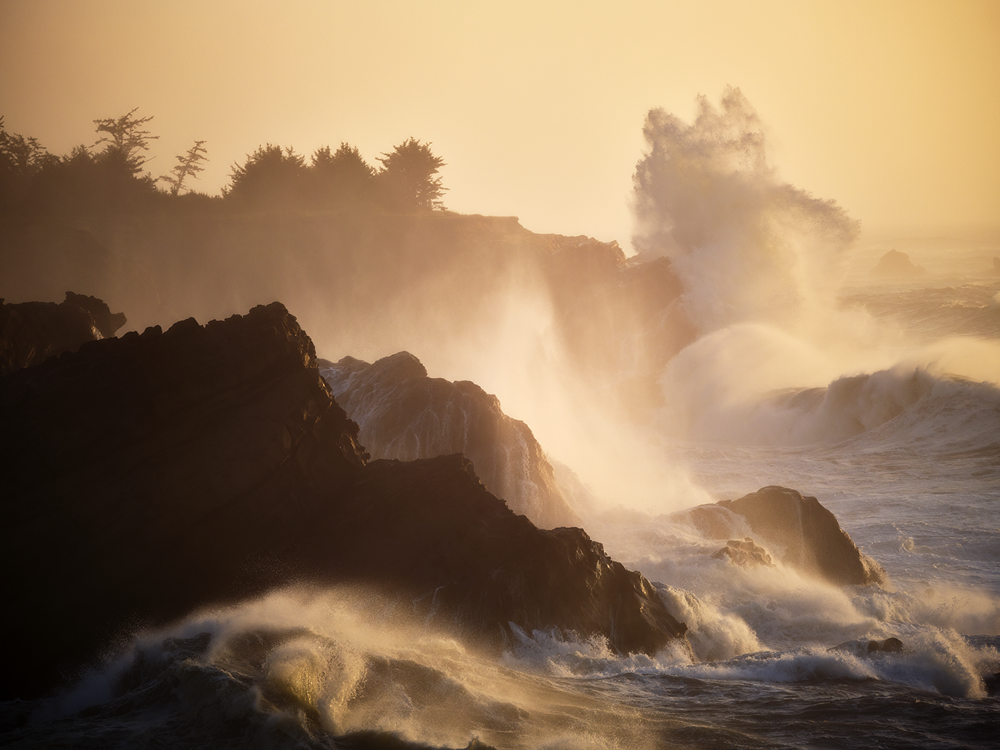 Ocean waves crashing against rocky shoreline with spray and mist, silhouetted trees in the background, during sunset or sunrise.