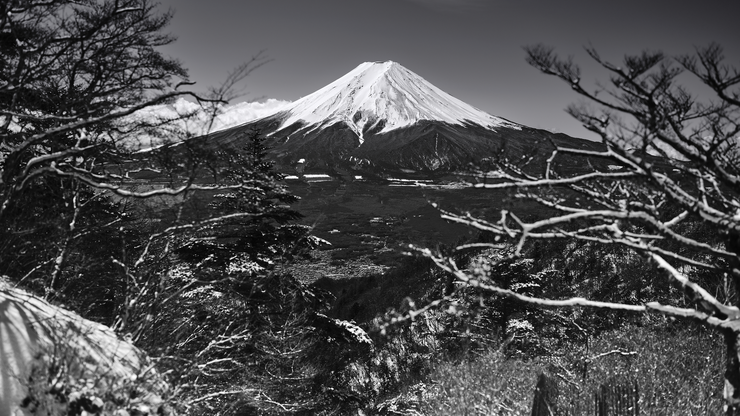 Snow-covered mountain, likely Mount Fuji, seen through snow-laden trees in black and white.