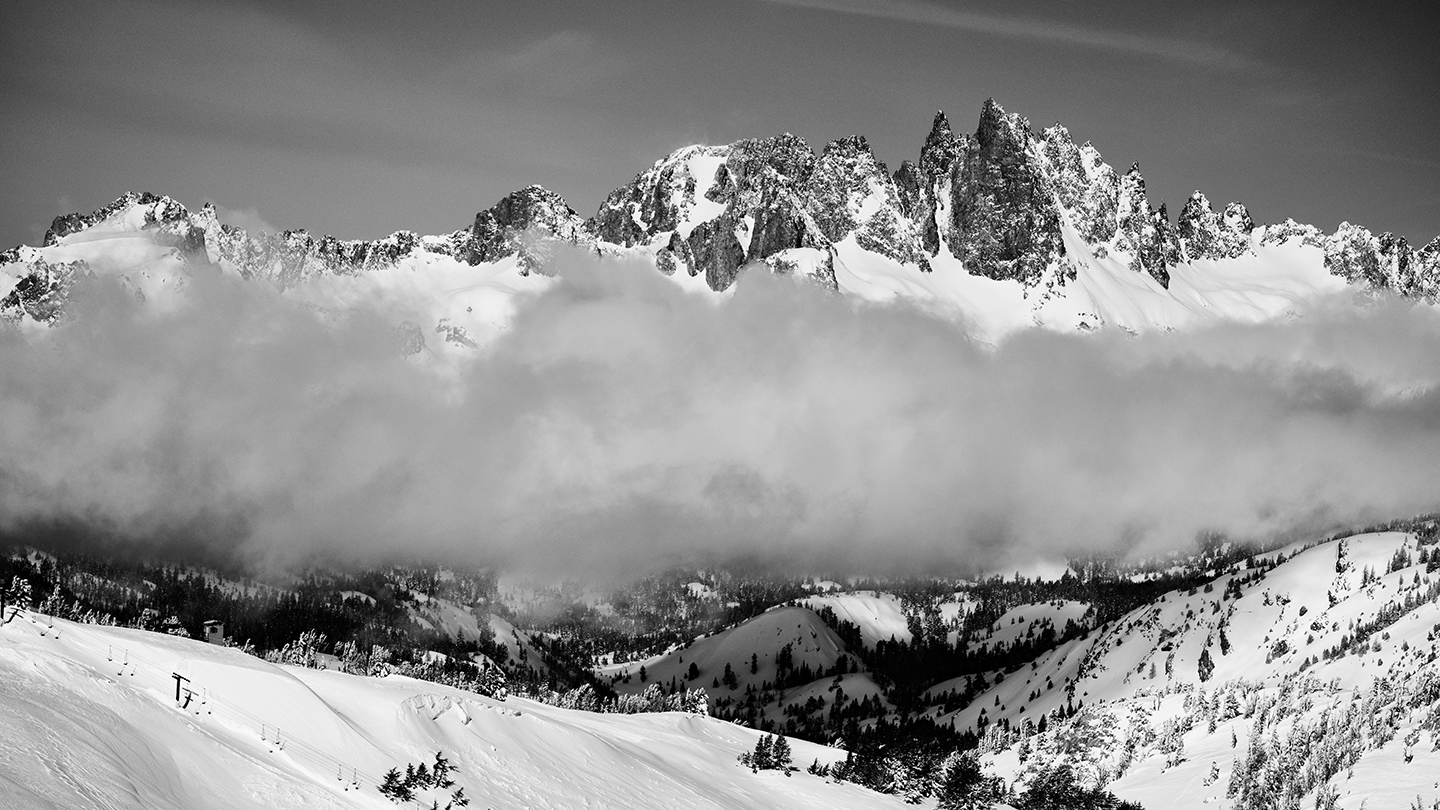 Chair 12 Mammoth