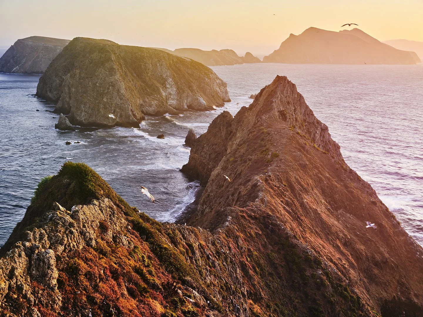 Sunset over rugged coastal cliffs with seagulls flying, calm ocean waves, and distant islands.