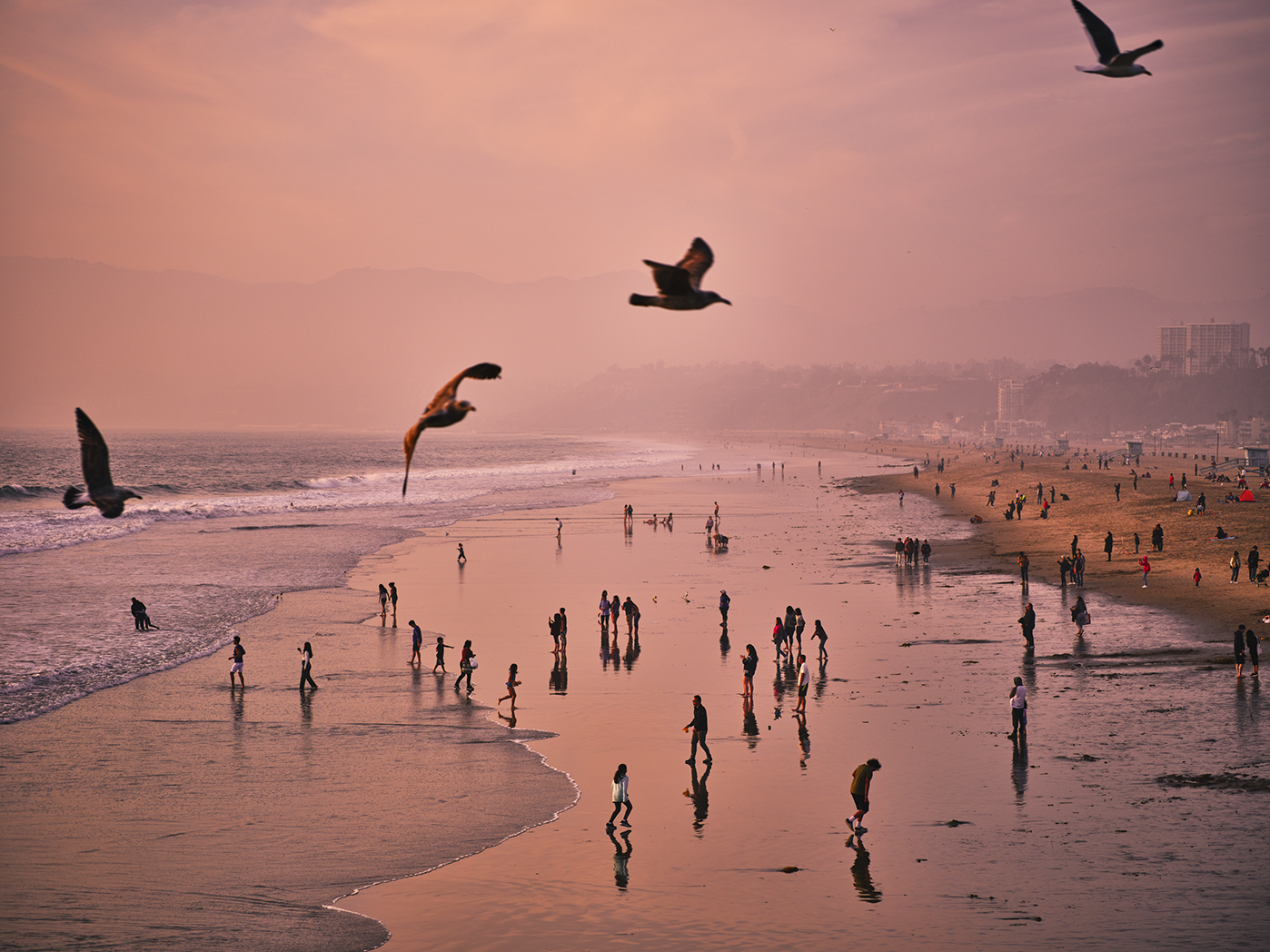 People walking along a beach during sunset with some flying seagulls in the sky.