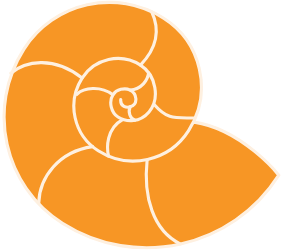 A stylized illustration of a spiral seashell with orange and white segments.