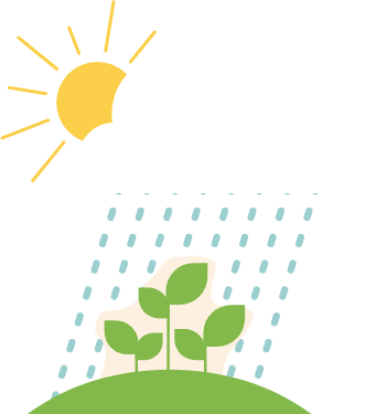 Sun with clouds and rain over green plants on a hill.
