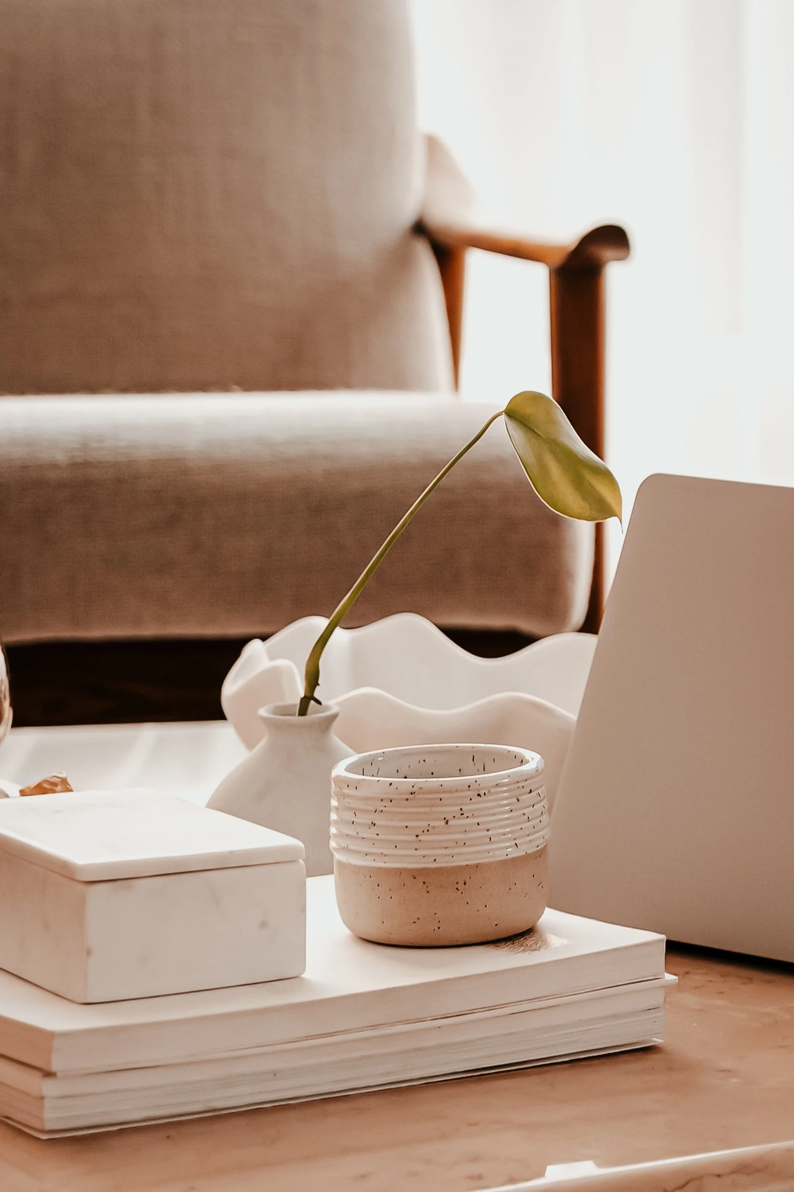 A close-up view of a tabletop arrangement featuring a small potted plant with a single leaf, a white ceramic container, a speckled ceramic bowl, and a white box, all placed on a stack of paper or books. In the background, there is a beige upholstered chair and wooden furniture.