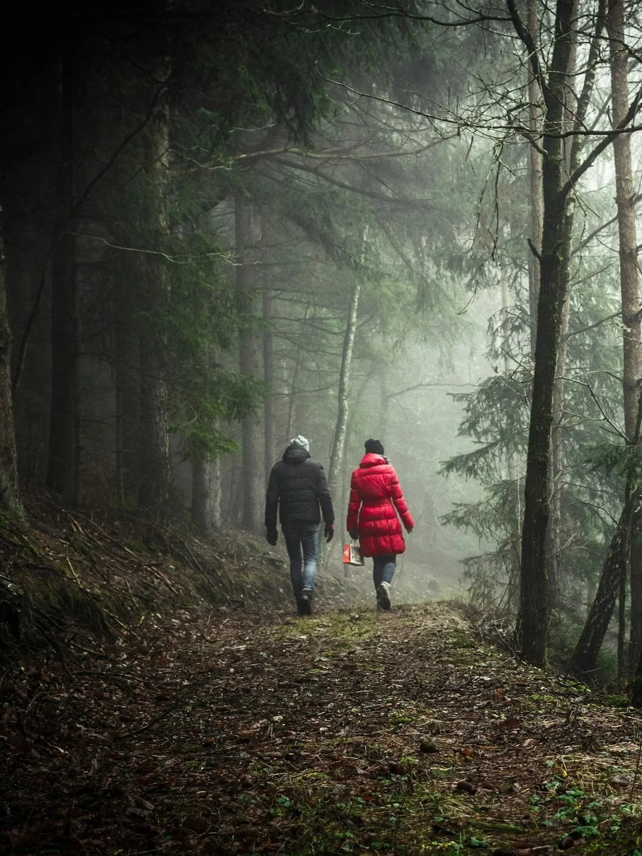Two people walking through woods