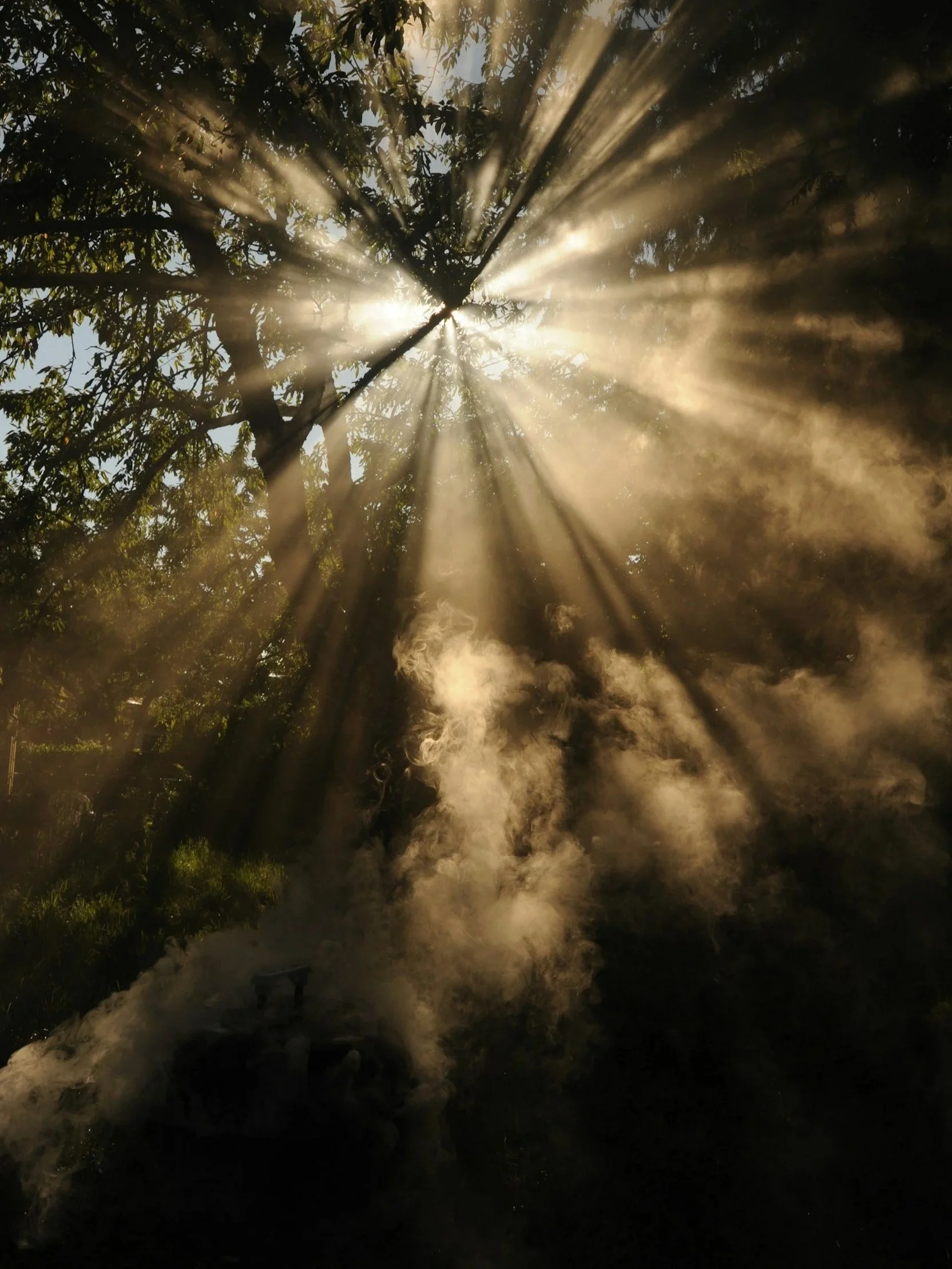 A hot spring or geothermal pool with steam rising from the water, surrounded by trees and sunlight filtering through the foliage.