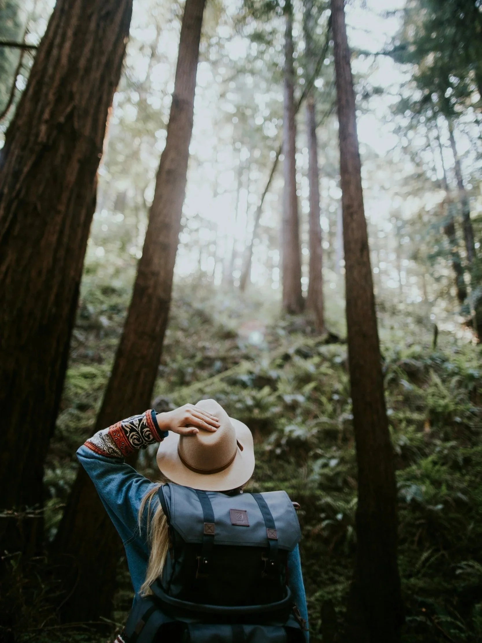 Person standing in the forest