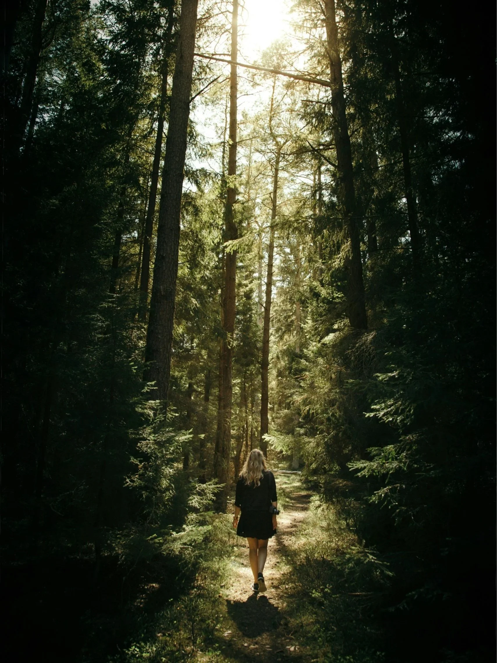 A person with long blonde hair walks down a forest trail surrounded by tall trees, with sunlight filtering through the canopy.