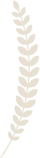 A light tan illustration of a laurel fern-like award leaf.
