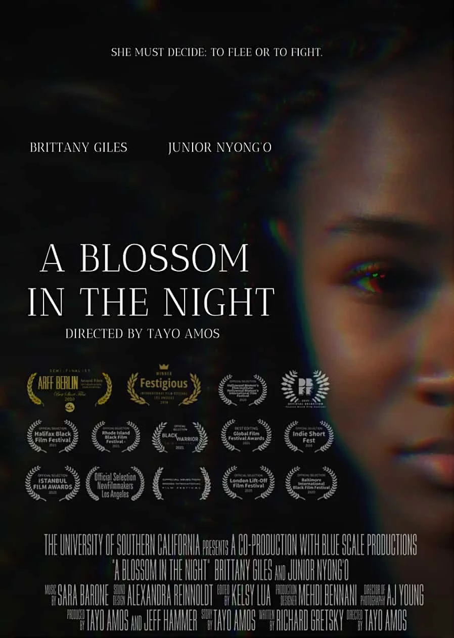 Poster for the film "A Blossom in the Night" featuring a partial close-up of a woman's face with dark background, film festival laurels, and credits.