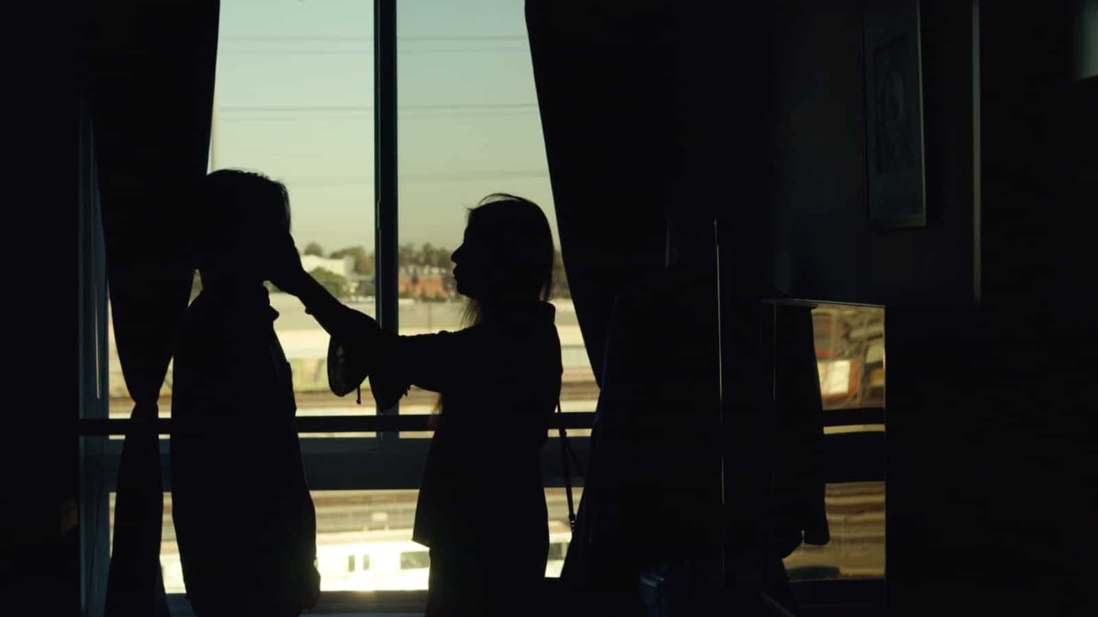 Silhouettes of two people inside a room, with one woman touching a young man's face, against a window showing an outdoor landscape.