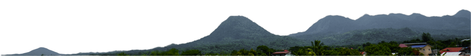 Panoramic view of mountains with trees in the foreground.