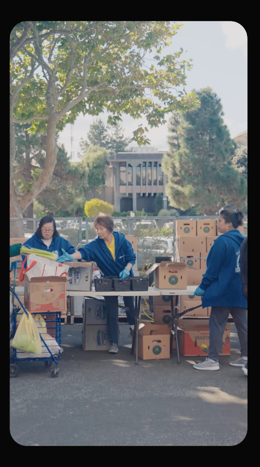 Video 4
