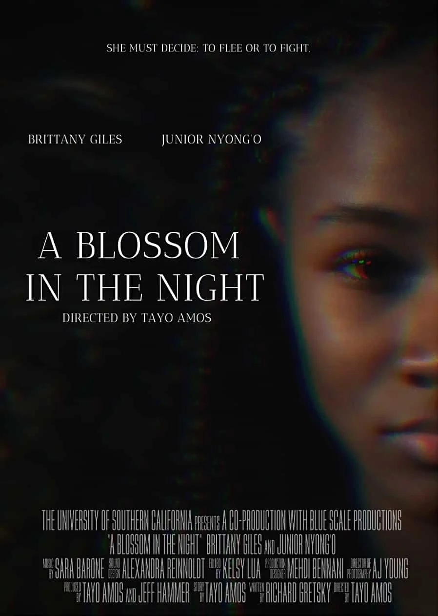 The poster for the film 'A Blossom in the Night' features a close-up of a woman's face partially visible on the right side. The background is dark with some colorful distortion effects. The text includes the title, director, and cast details.
