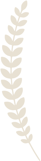 A light tan illustration of a laurel fern-like award leaf.