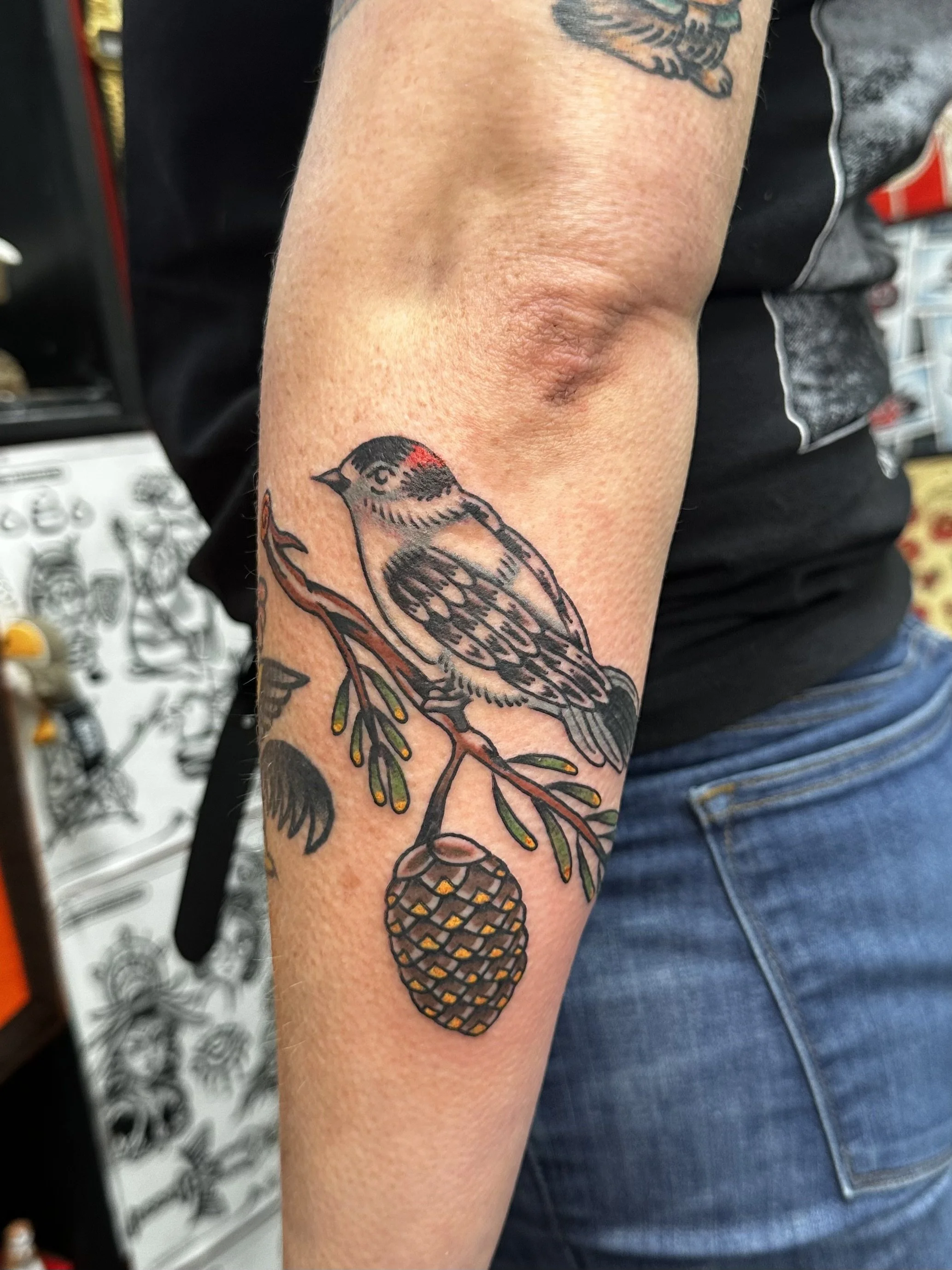 Tattoo of a bird perched on a pinecone on a person's forearm, with some leaves and branch details.