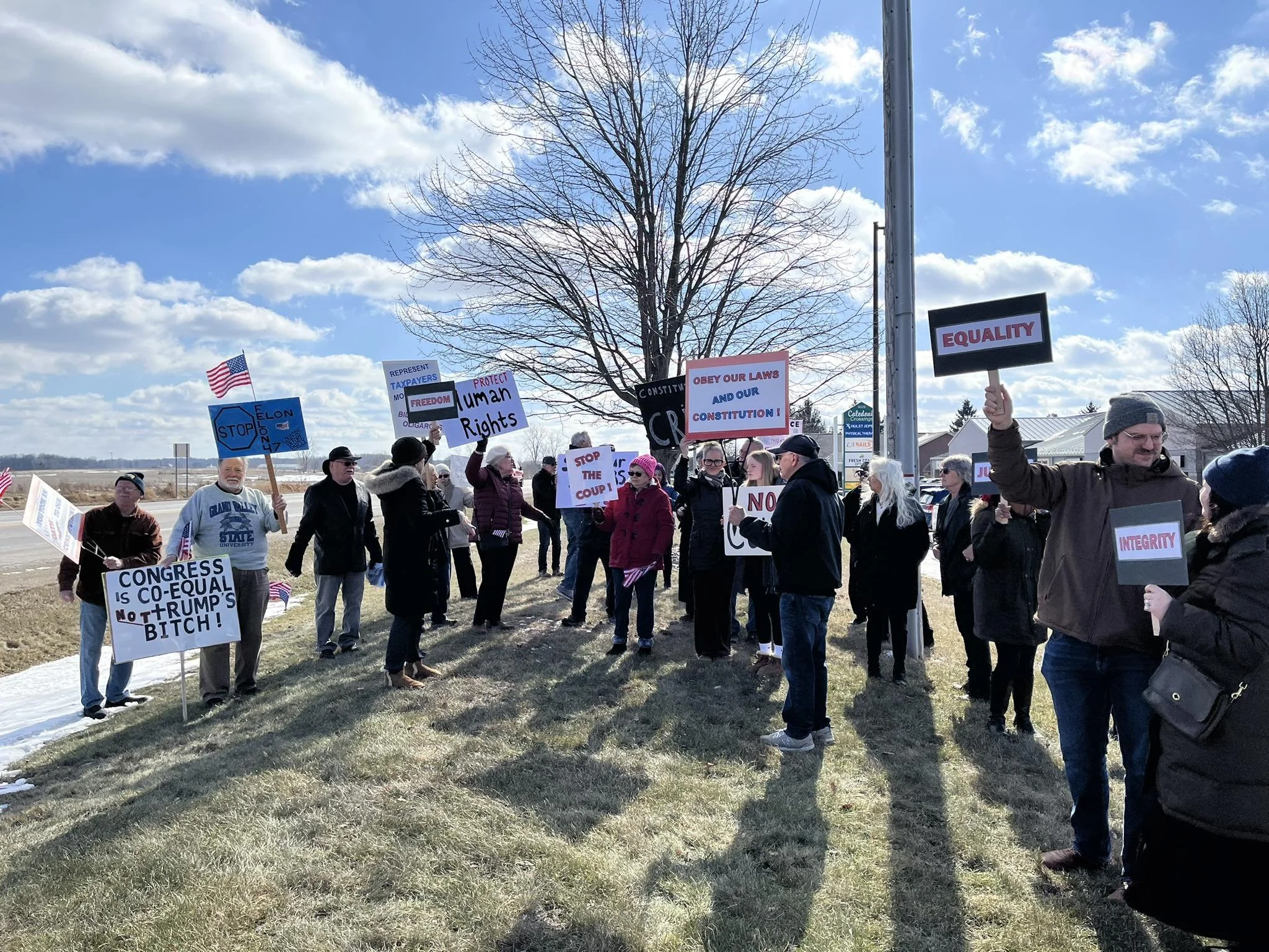 People participating in a protest or rally outdoors holding various signs with political messages, American flags, and slogans such as 'STOP ELON,' 'FREEDOM,' 'EQUALITY,' and others.