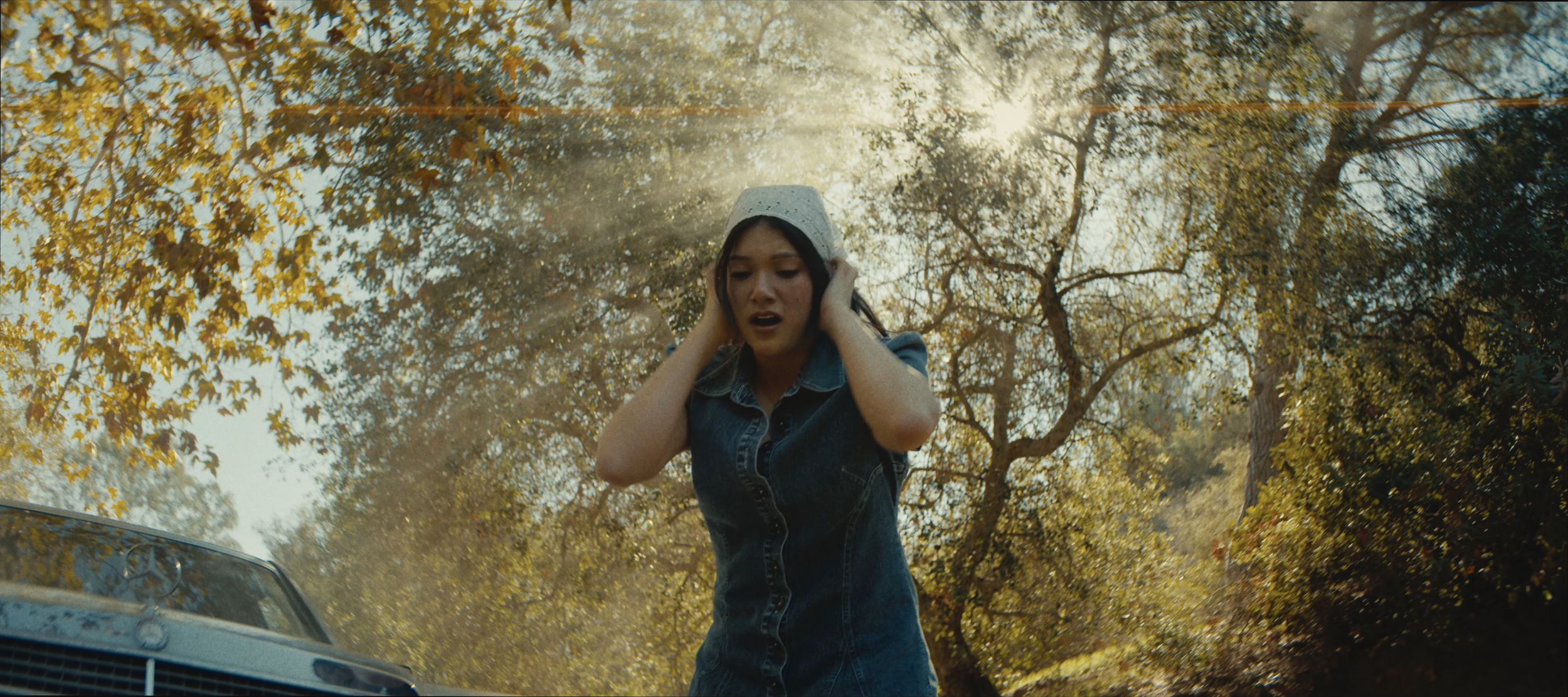 Roadkill | Narrative Short
