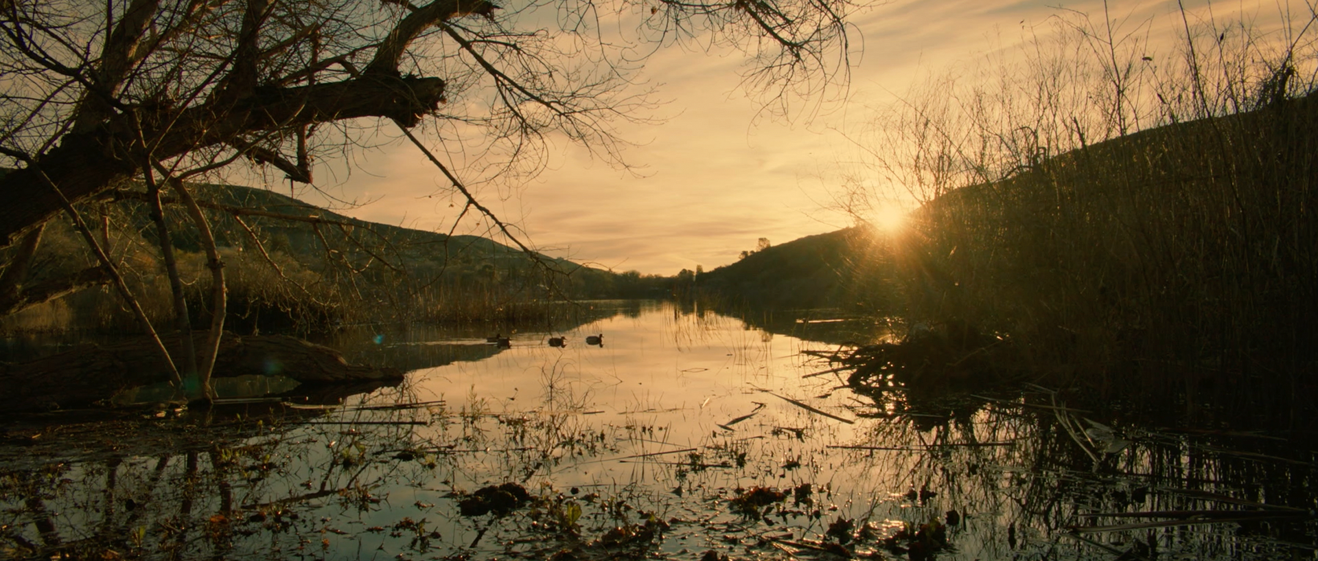 Nature | Documentary