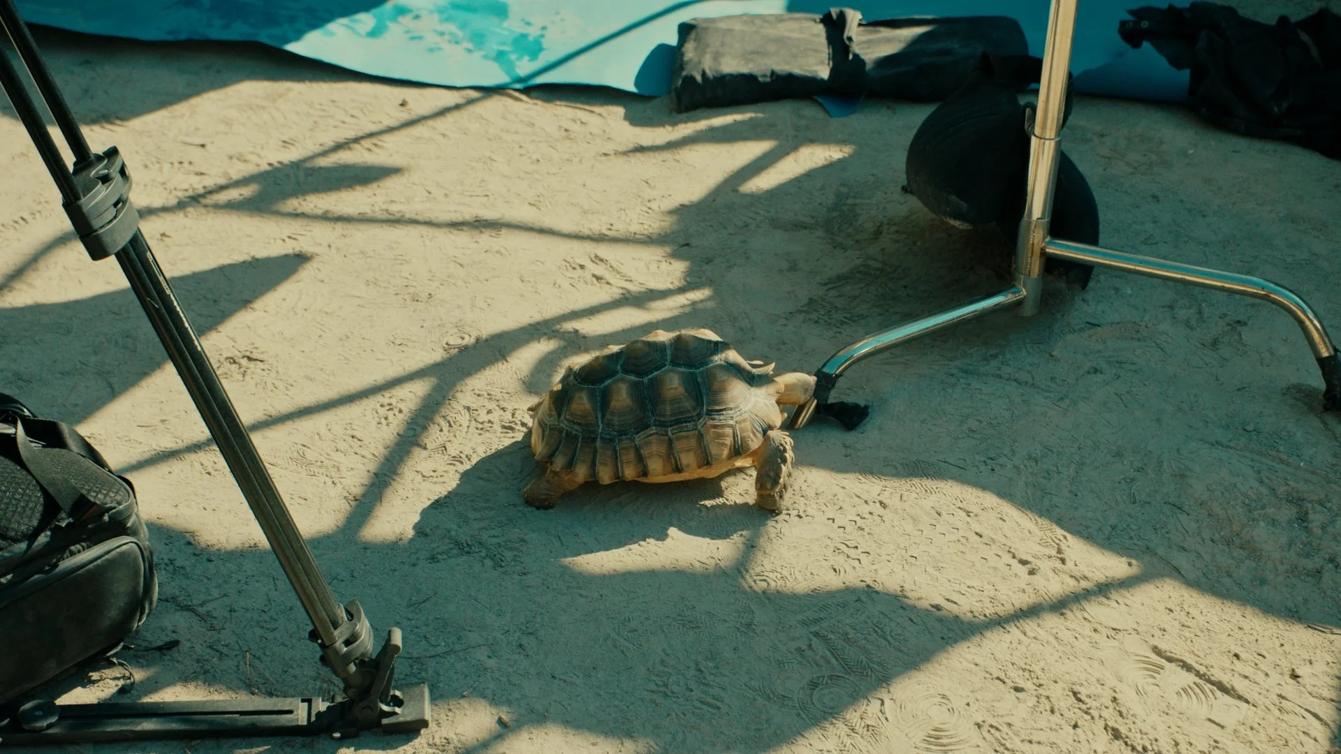 Still 45.JPG