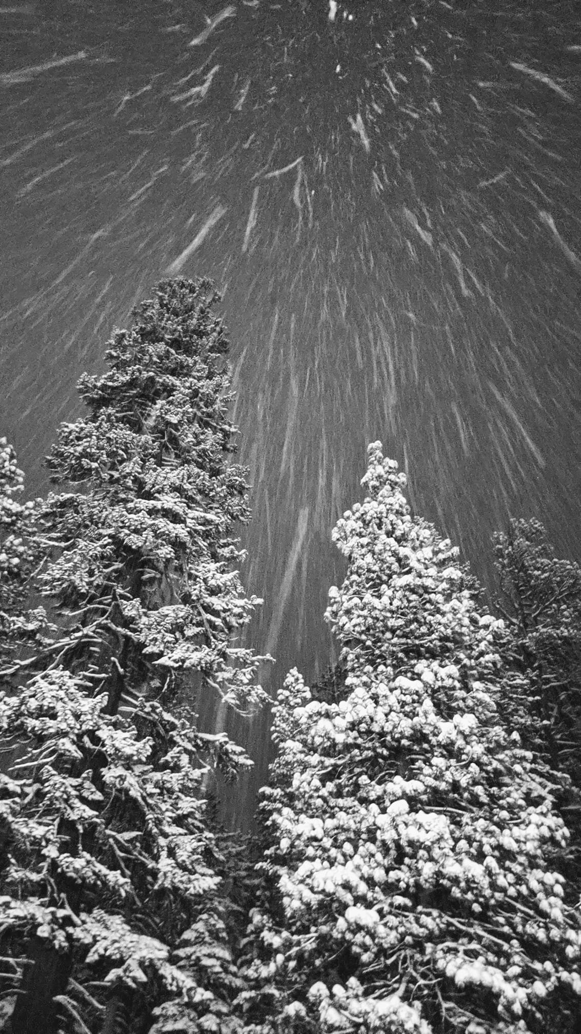 Mammoth, Night