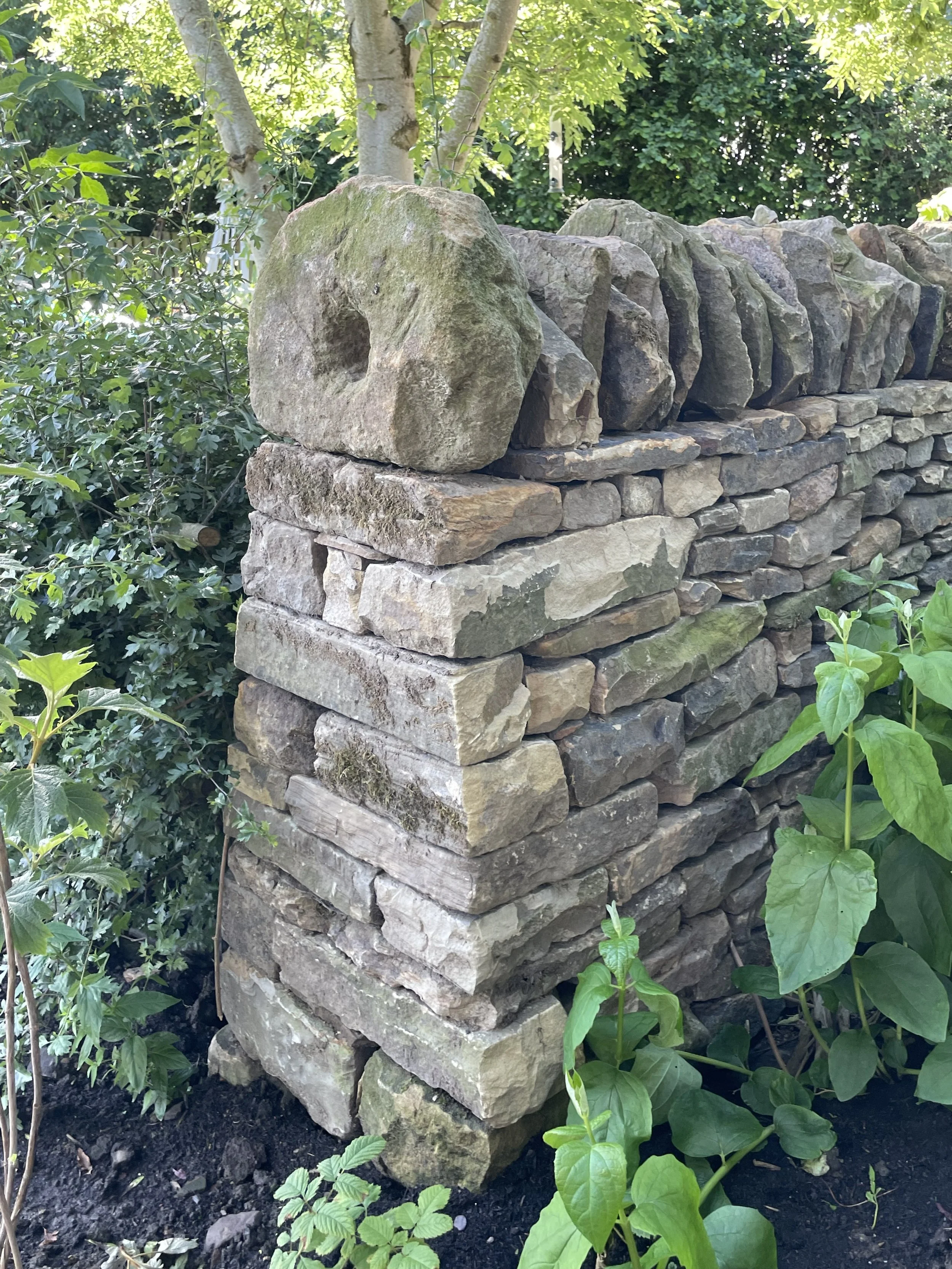 A stone wall made of irregularly shaped rocks with greenery and plants growing around it, and a tree with a broad trunk and green leaves in the background.