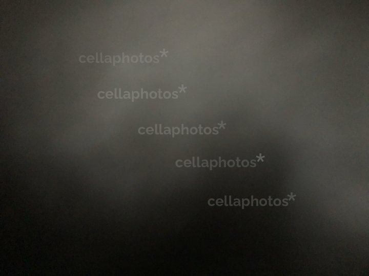 imaginary image no. 516