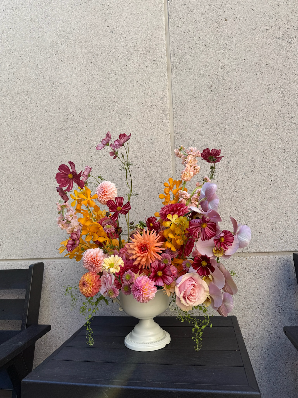 IMG_7315.png