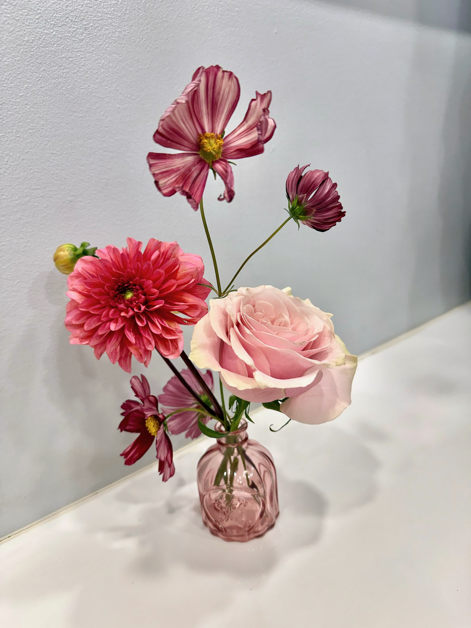IMG_7419.png
