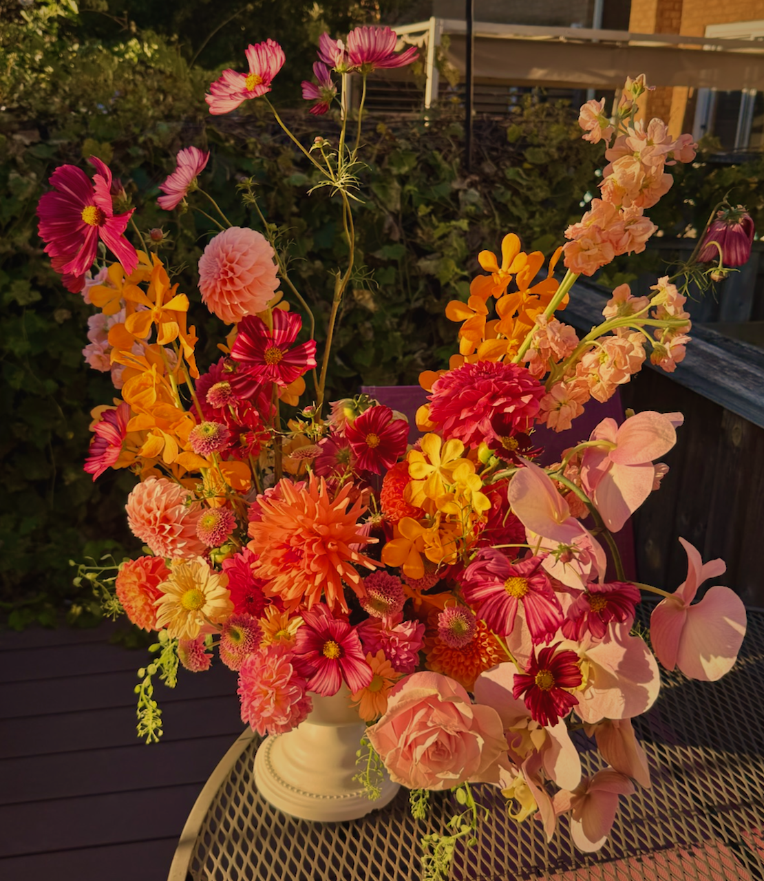 IMG_7467.png