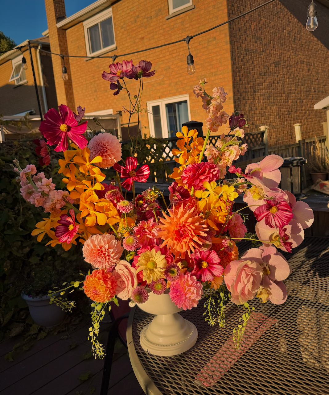 IMG_7462.png