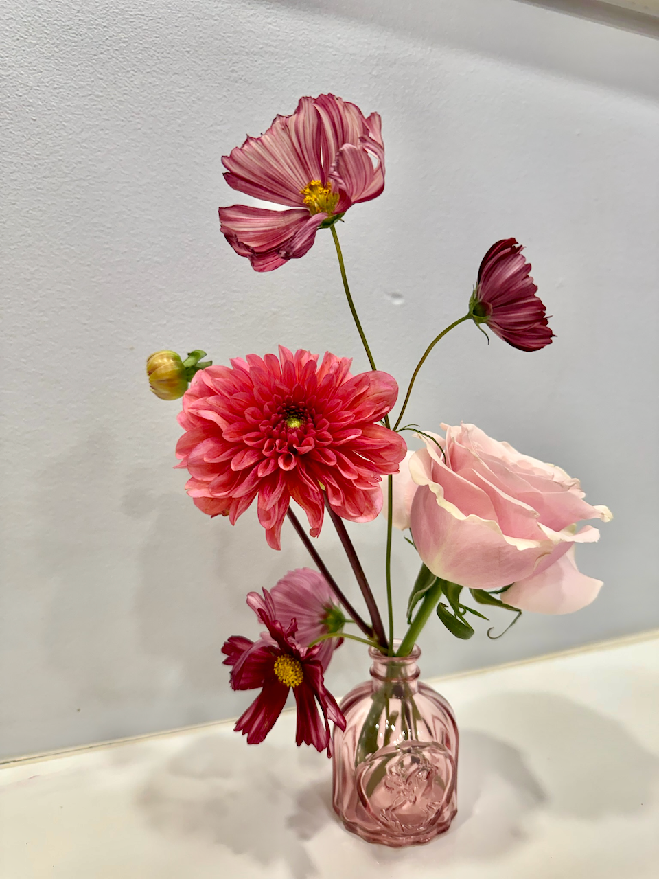 IMG_7420.png