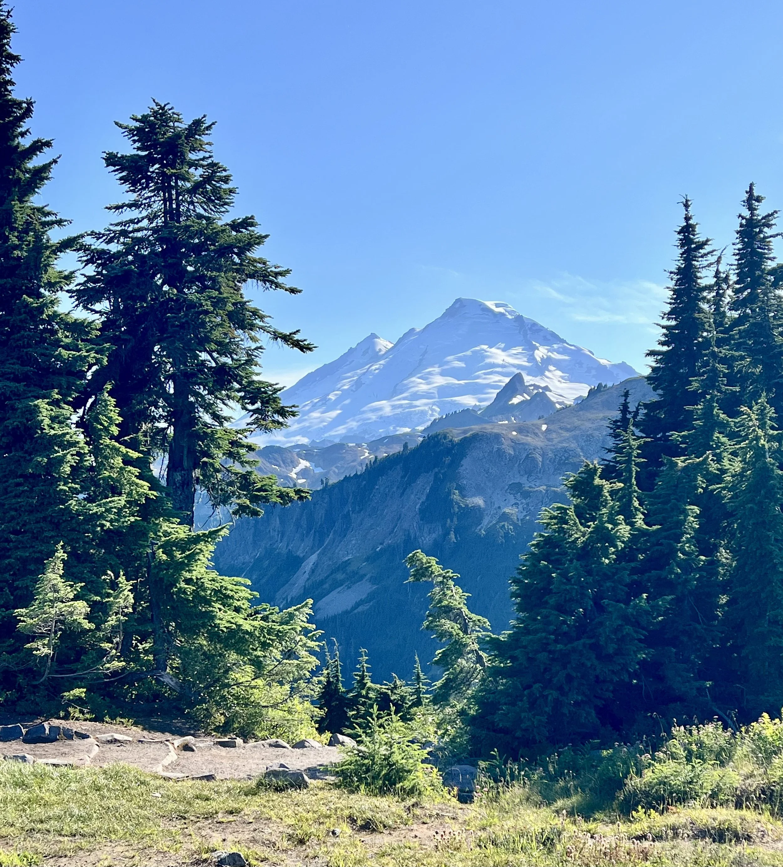 A scenic mountain landscape with snow-capped peaks, evergreen trees, and a dirt trail in the foreground under a clear blue sky.