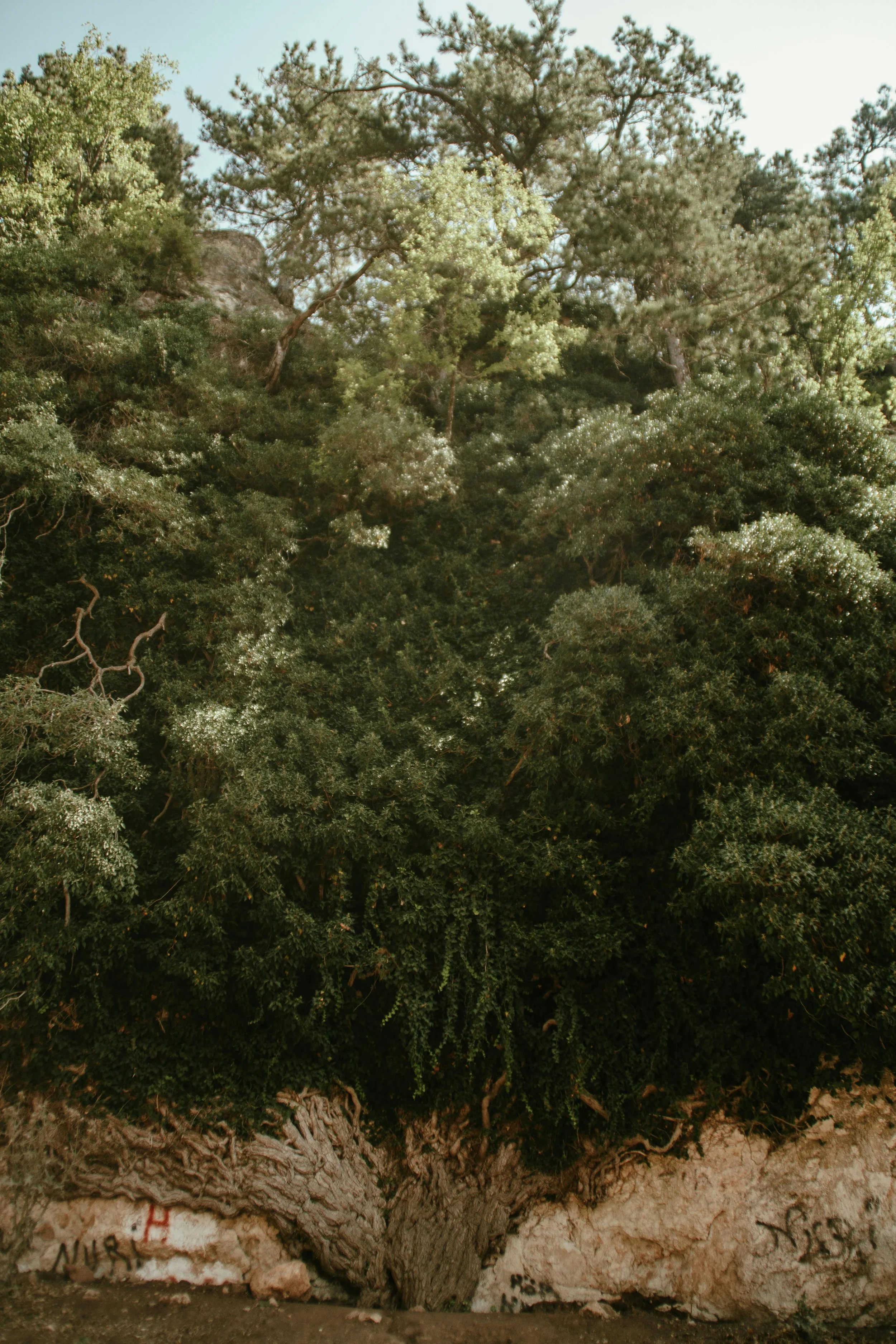 A Holistic Approach to Stress Relief