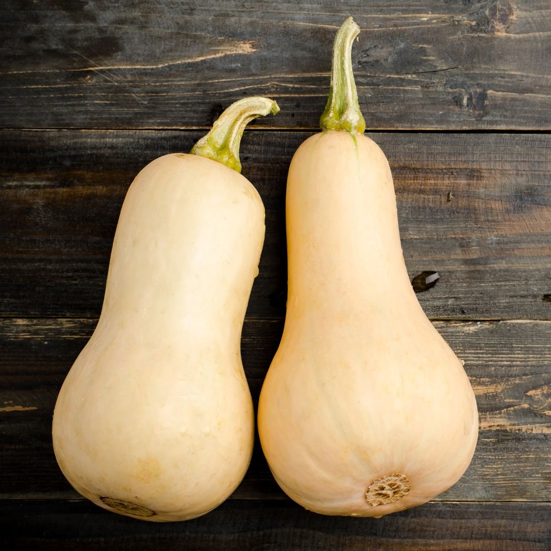 Pumpkin - Butternut