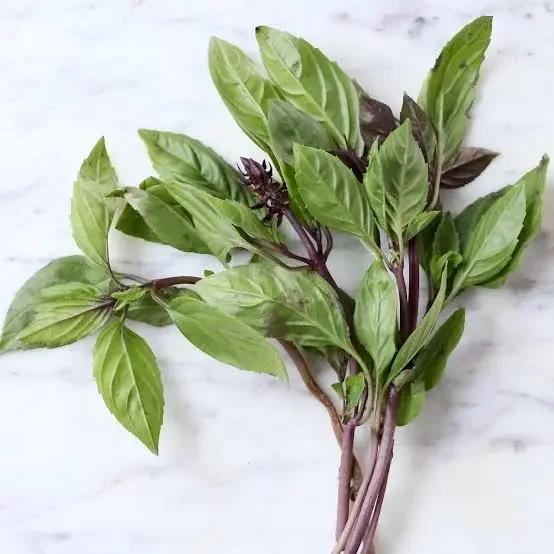 Basil - Thai
