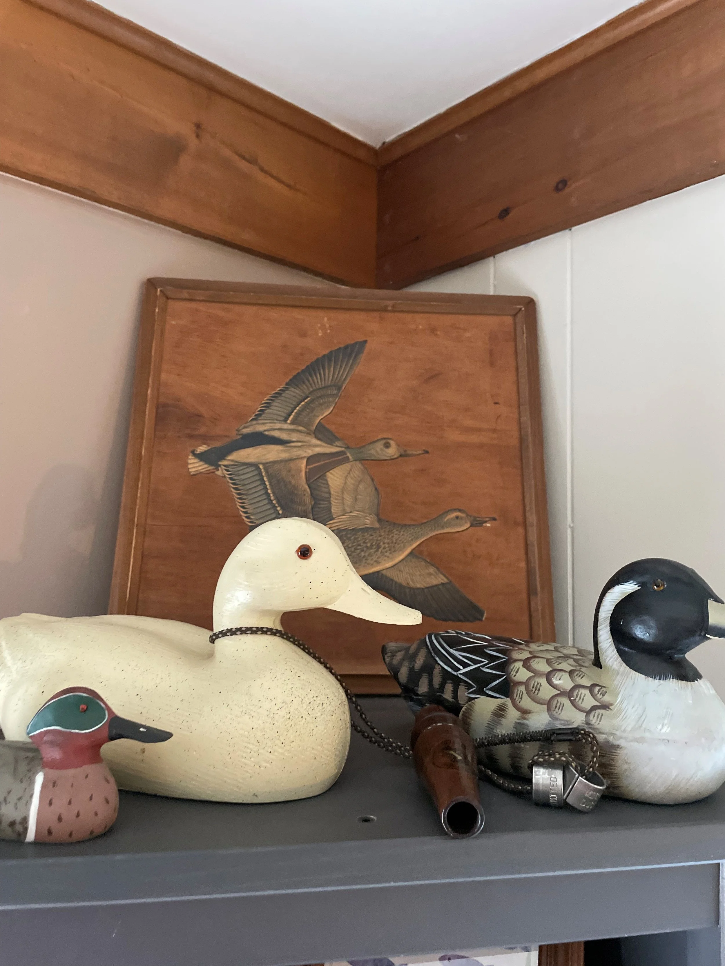 Quack.jpg