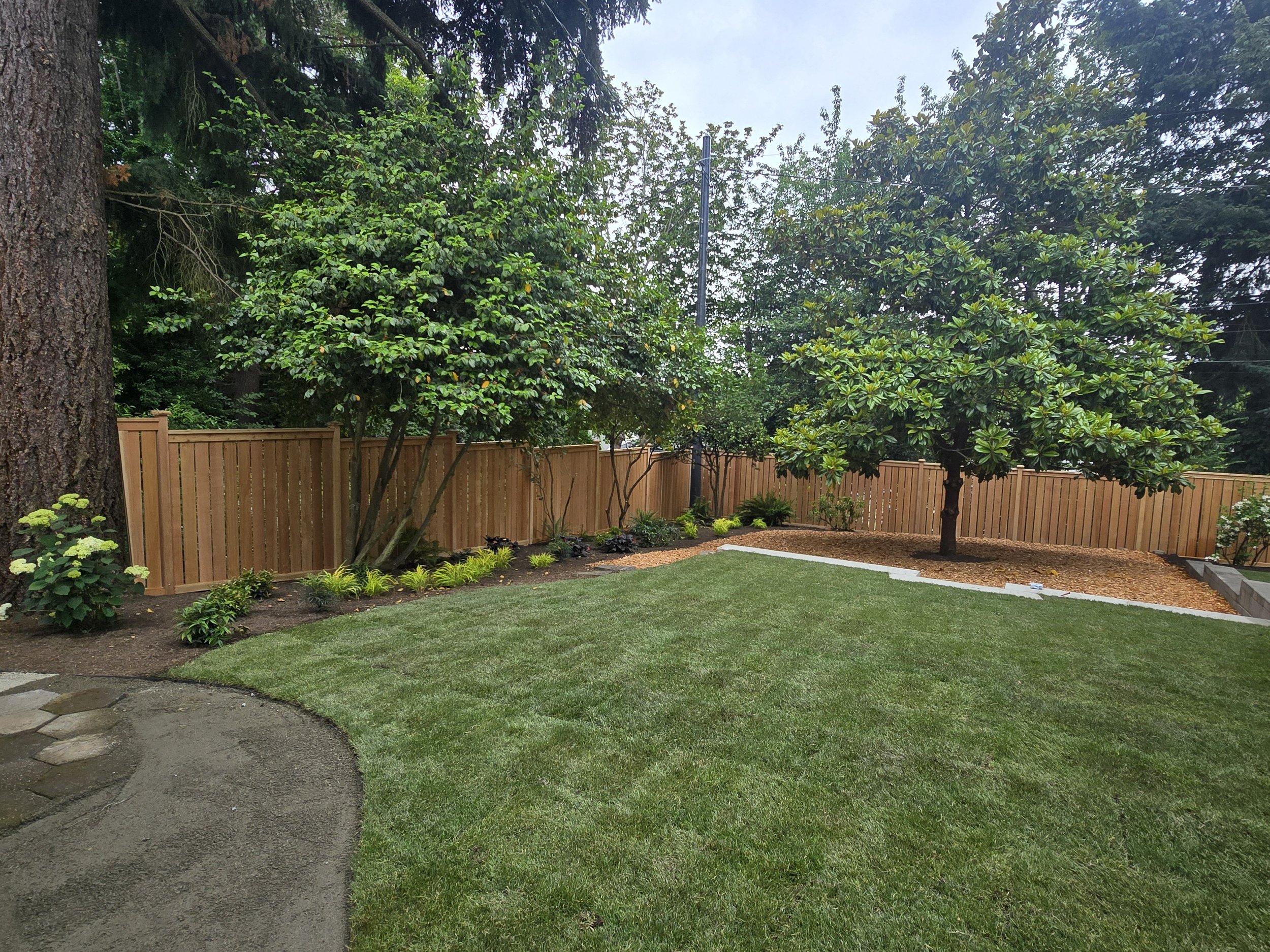 A backyard with a wooden fence, trees, a green lawn, and a small flower bed along the fence. There is a corner of a stone pathway visible on the left side and a tall utility pole among the trees.
